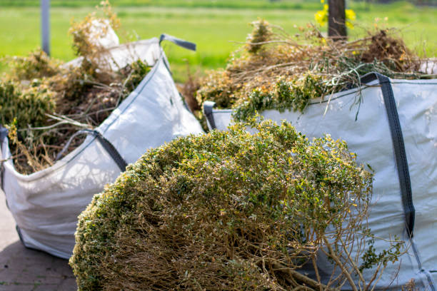 Best Junk Hauling Services  in Purdy, MO
